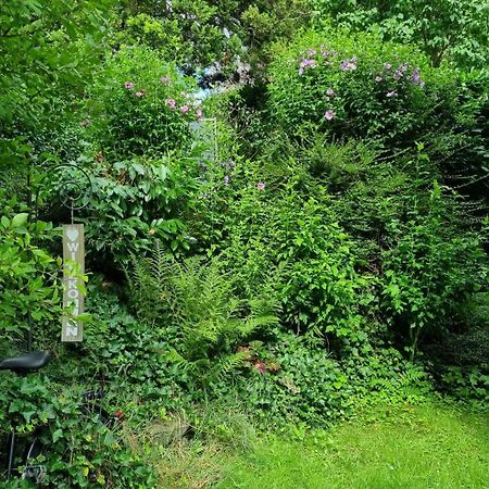 Hueschelrath Gemuetlich Natur 莱希林根 外观 照片